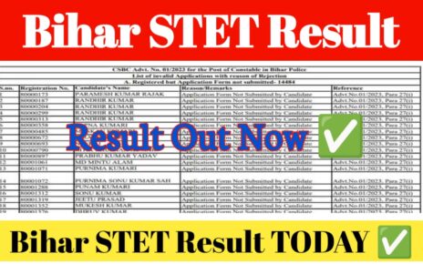 STET Bihar Result 2024